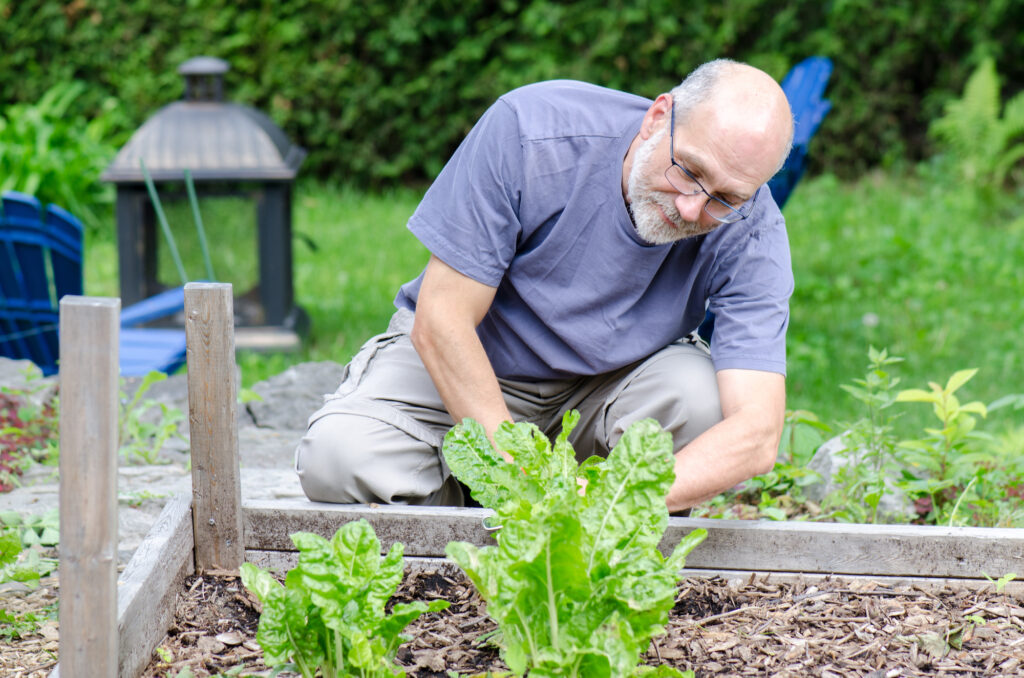 Older man smiling and kneeling down doing his gardening